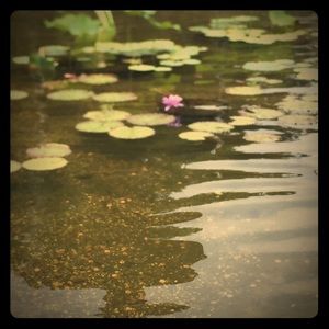 Meet your Posher, Jillian